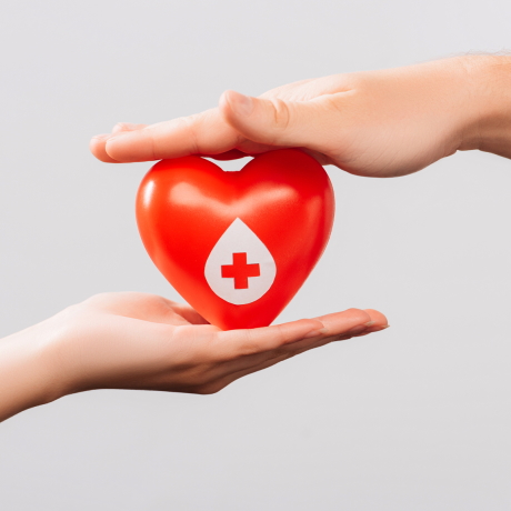 20 апреля  День донора крови: какие гарантии предусмотрены в ТК РФ