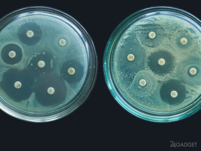 Биохимикам удалось разгадать механизм устойчивости бактерий к антибиотикам (3 фото)