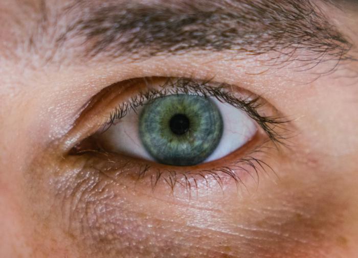 Neuroscience: обнаружены редкие ганглиозные клетки сетчатки глаза